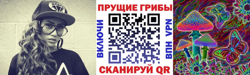 Галлюциногенные грибы мухоморы  дарнет шоп  Петров Вал 